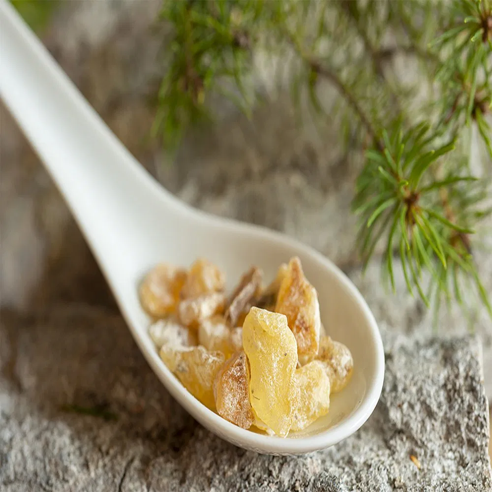 Wholesale Factory Supply High Quality Herbal Extract Organic Boswellia Extract Powder