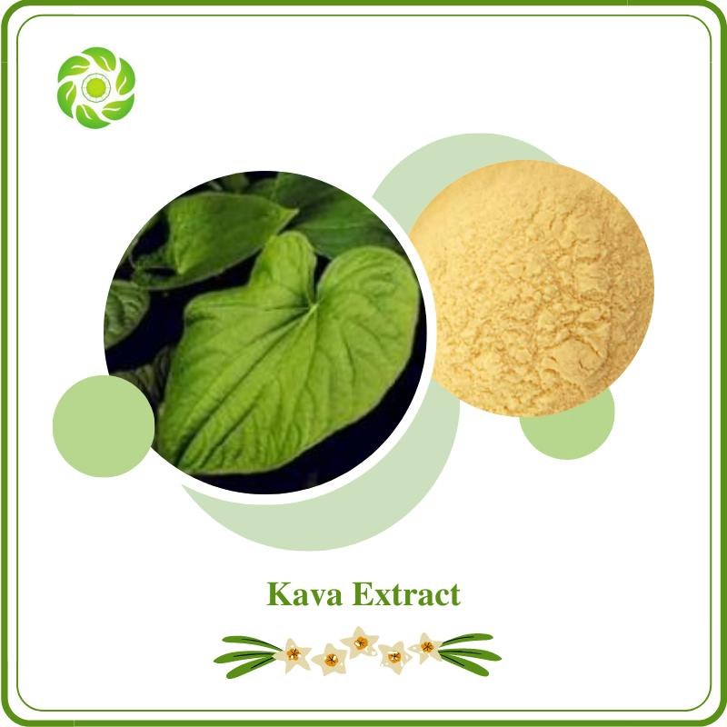 World Well-Being Biotech ISO&FDA Certified OEM Manufacturer Factory Supply Natural Botanical Extract High Quality10%-70% Kavalactones Kava Extract