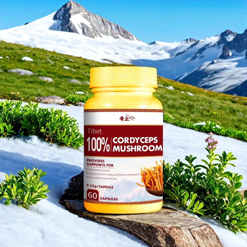 Good Price Chinese Supplier 100% Cordyceps Mushroom Cordyceps for Food Additive Immunity Enhancement