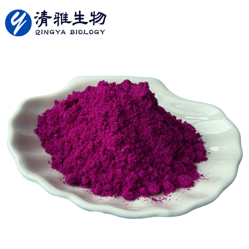 Freeze Dried Pitaya Powder/Granules Laxative Natural Pigment Antioxidant
