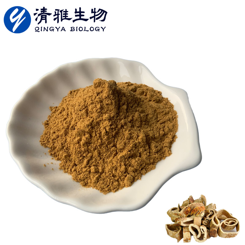 Plant Extract Morus Alba Extract10: 1 Herbal Extract Morus Alba Powder