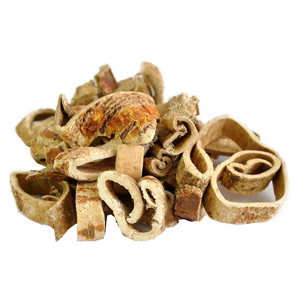 Morus Alba Extract Powder