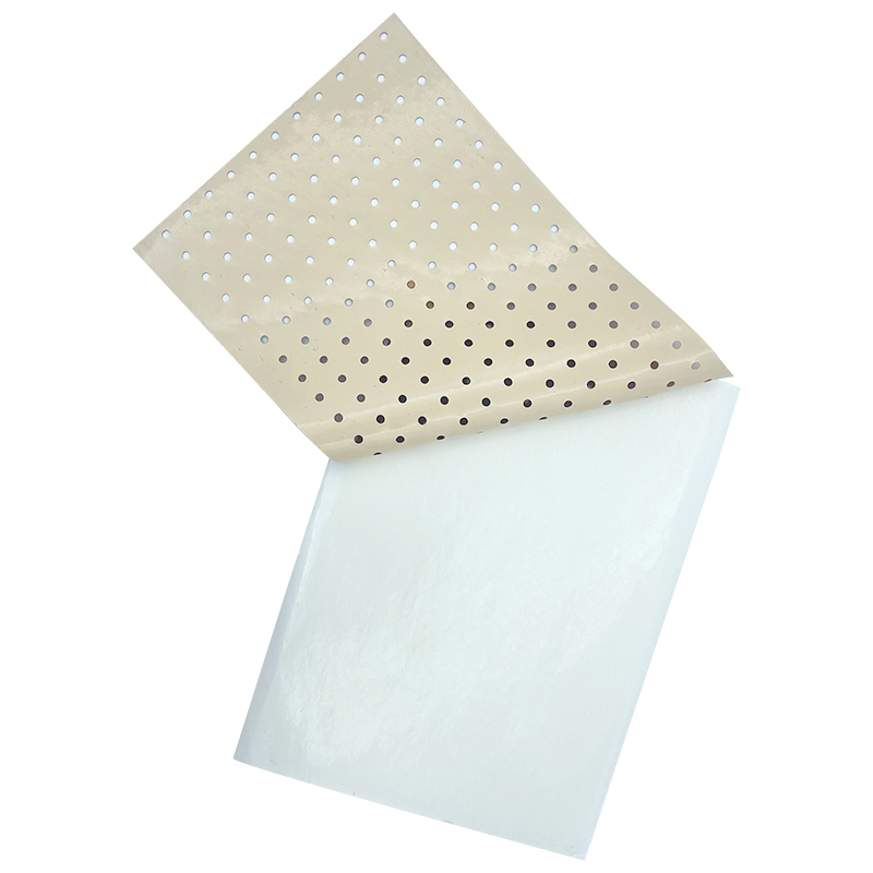 Capsicum and Belladonna Herbal Plaster Deep Warming Relief for Muscle Aches and Joint Stiffness