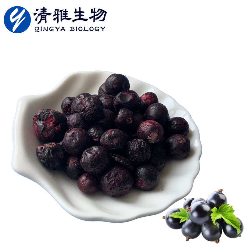 Pure Natural Freeze Dried Ribes Nigrum Powder Freeze Dried Ribes Nigrum Granules Fd Ribes Nigrum