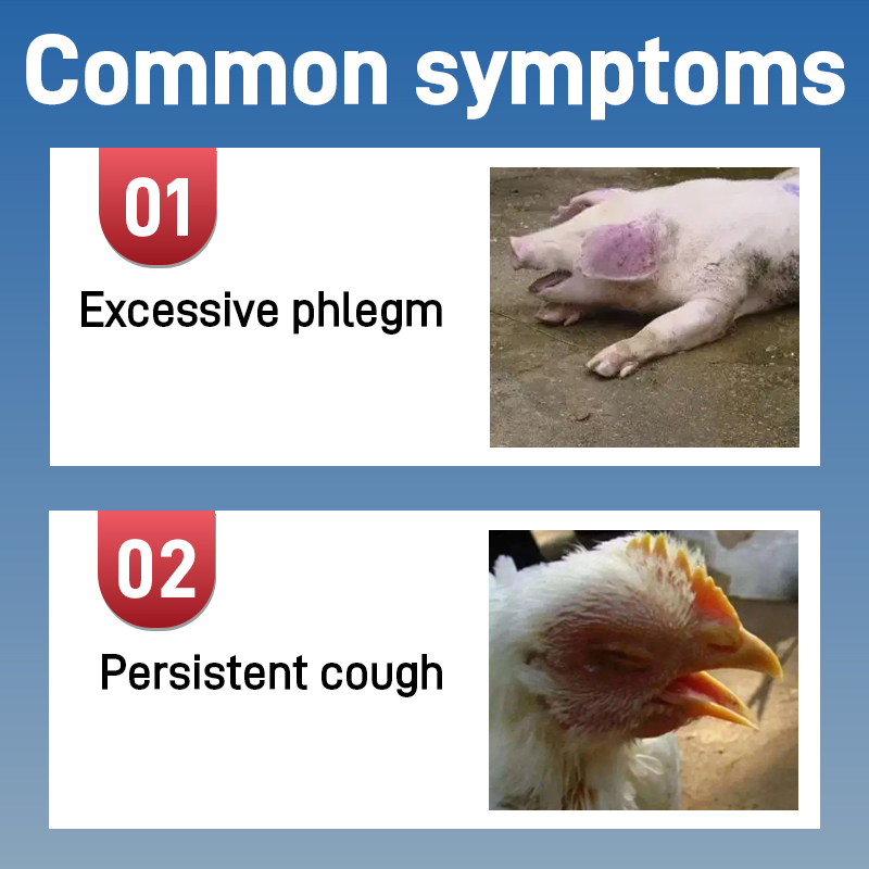 Pig &amp; Poultry Herbal Cough Relief Licorice Granules