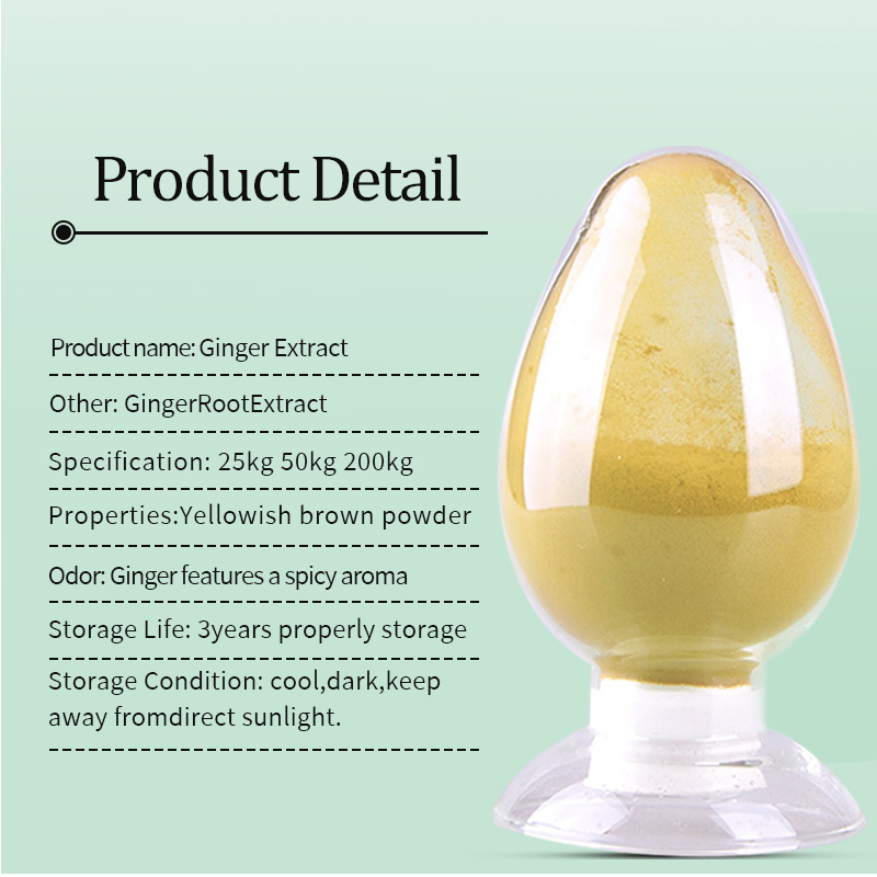 Premium 100% Pure Food Grade Herbal Extract Health Food Ginger Powder Bulk