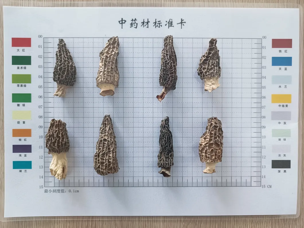 Customized Packaging 3