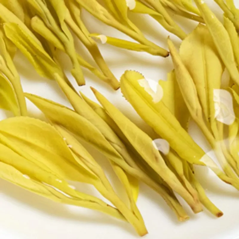 Huangjinya Green Tea