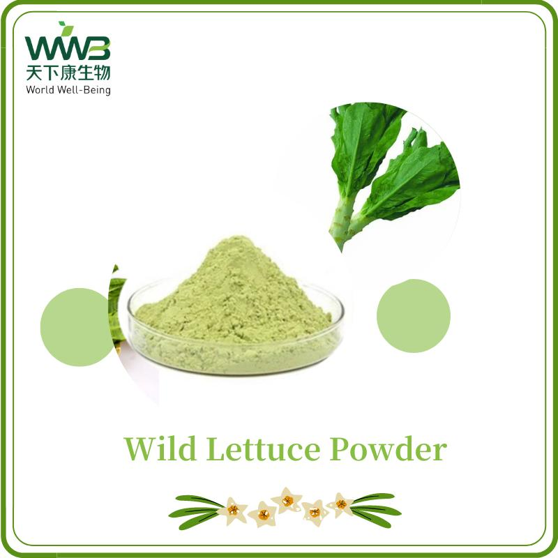 World Well-Being Plant Extract/Herbal Extract/Lettuce Juice Powder/Wild Lettuce Extract/99% Wild Lettuce Powder
