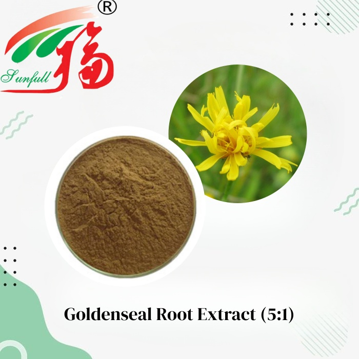 Premium Goldenseal Root Extract (5: 1) Hydrastis Canadensis