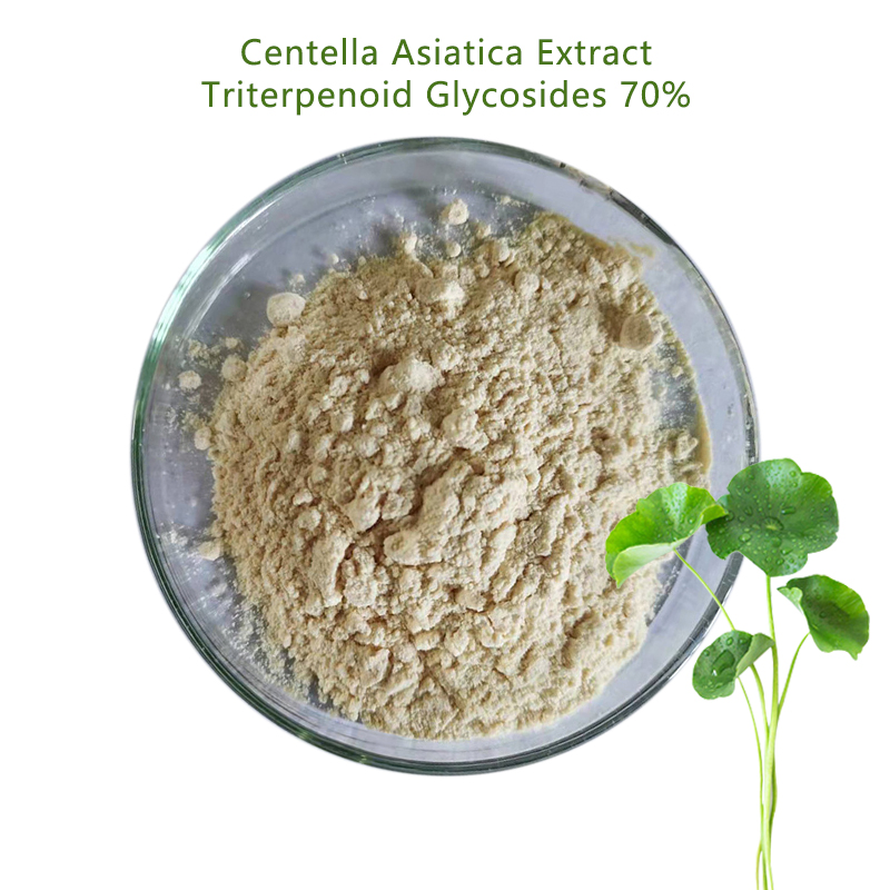 Natural Herbal Extract 70% Total Triterpenes Gotu Kola Extract Powder