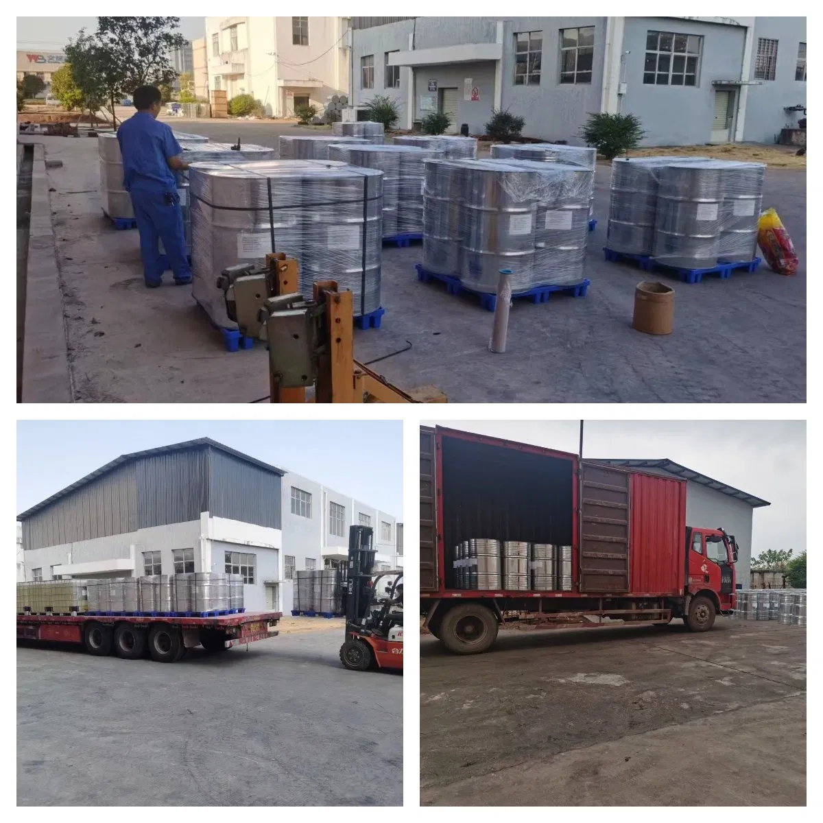 Premium 100% Pure Food Grade Herbal Extract Health Food Ginger Powder Bulk