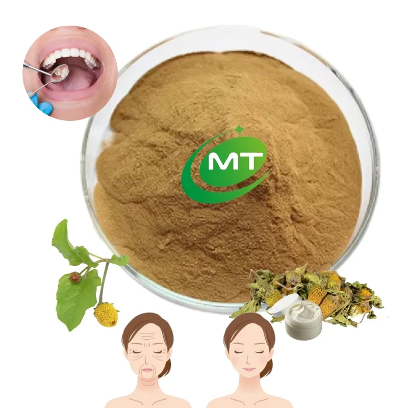 Natural Herbal Powder