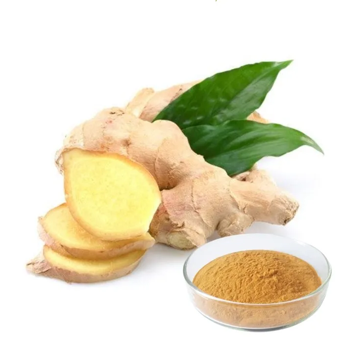 Ginger Powder Bulk