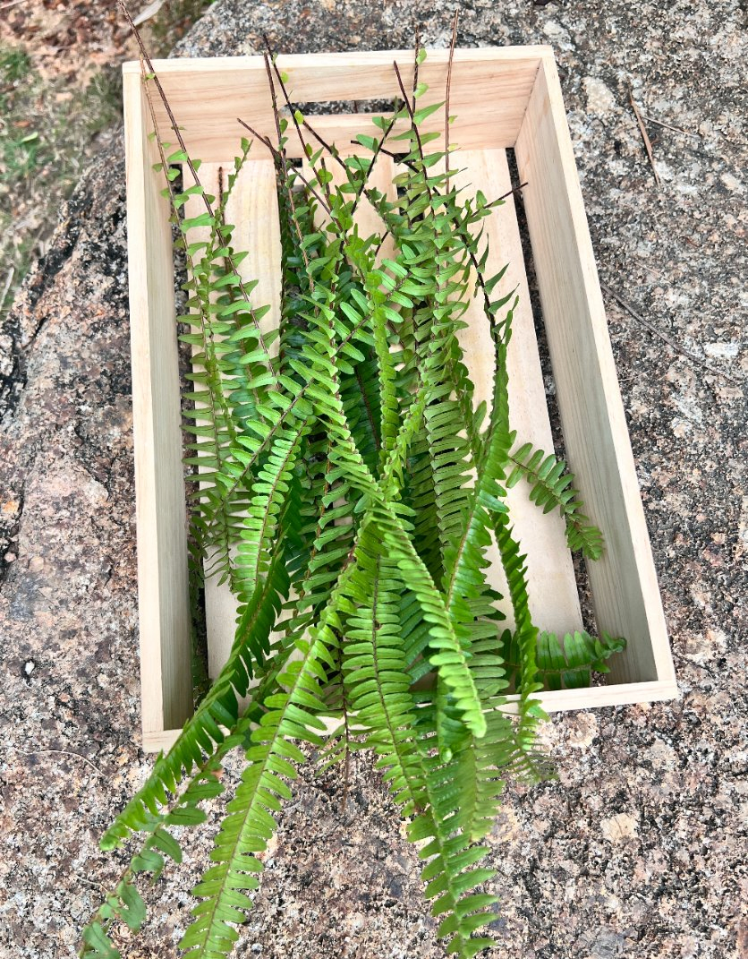 Personalized Pure Natural Plant Herbal Scented Bath Soap