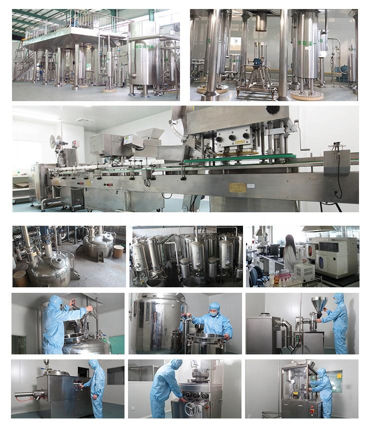 Herbal Supplements Turmeric Curcumin Turmeric Latte Super Mix Power