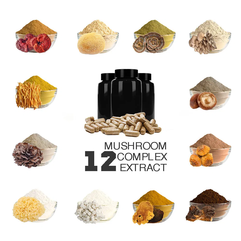 12 in 1 Mushroom Extract Blend Powder Capsule Herbal Supplement Powder Capsule