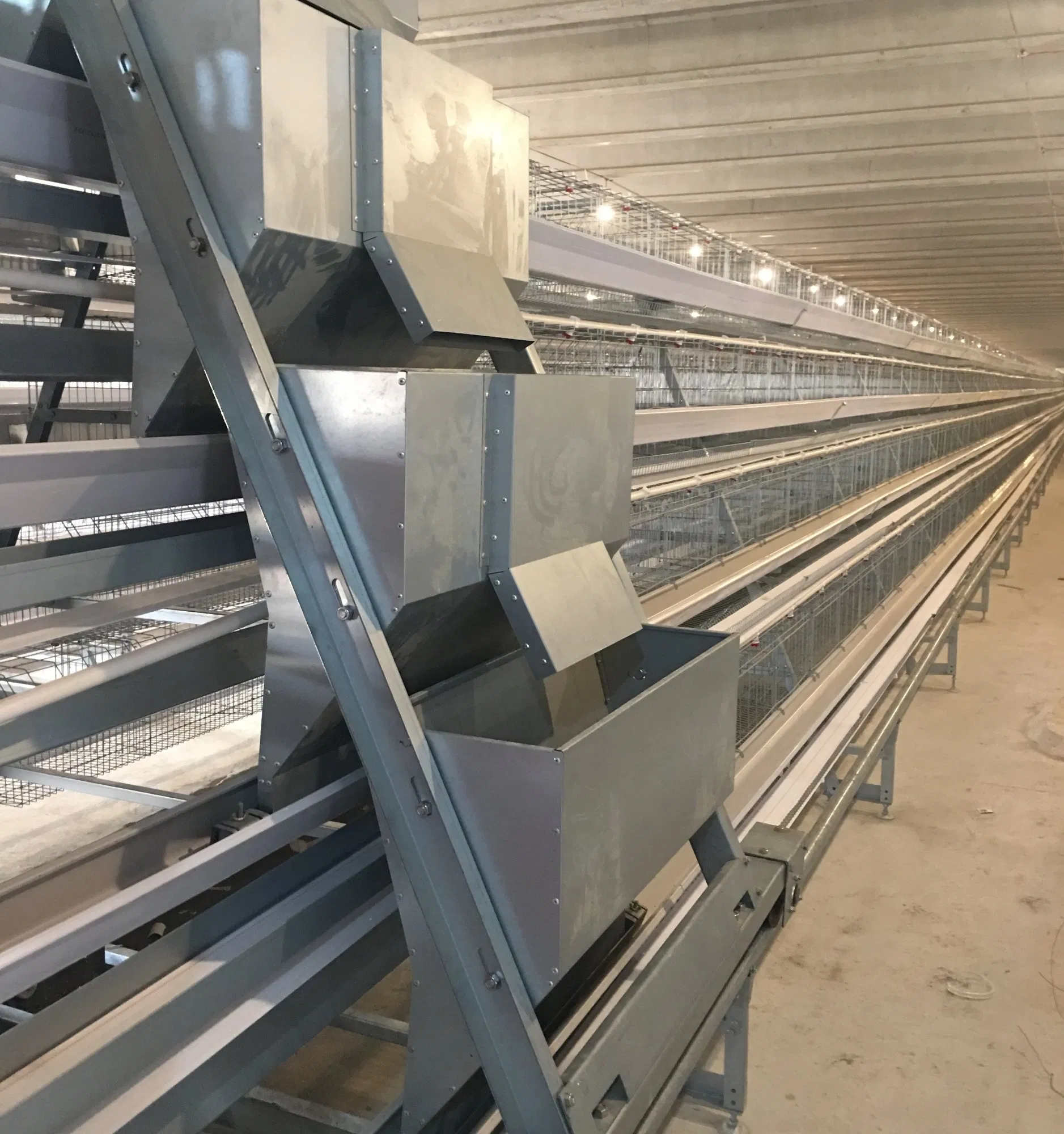 Layer Cage System with Automatic Feeding Machine System