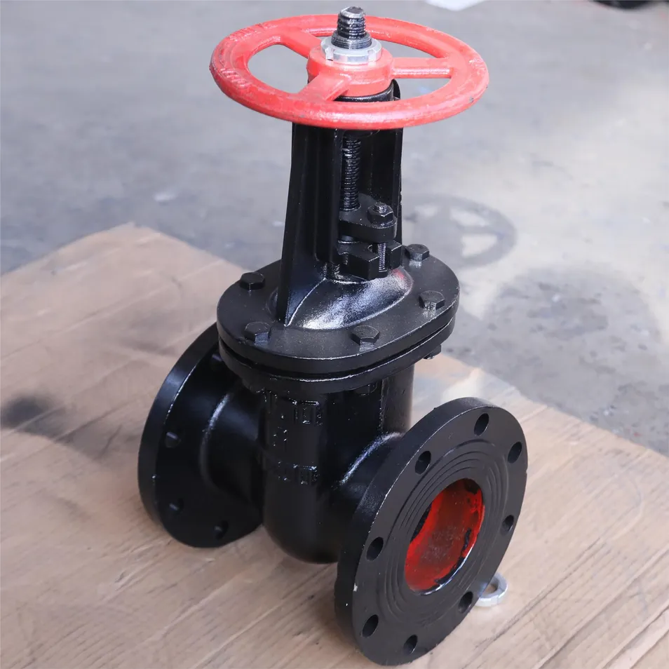 Gate Valve Main View