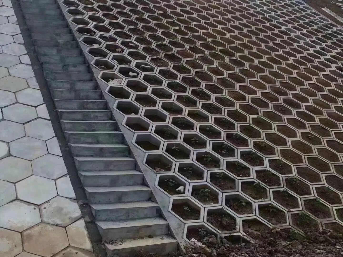 Premium Hexagonal Slope Protection Components for Enhanced Durability