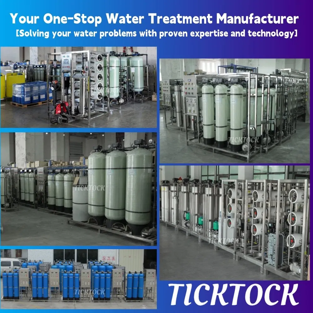 Immediate Potable Water for Disaster Relief Water Treatment Machinery RO System 3000lph