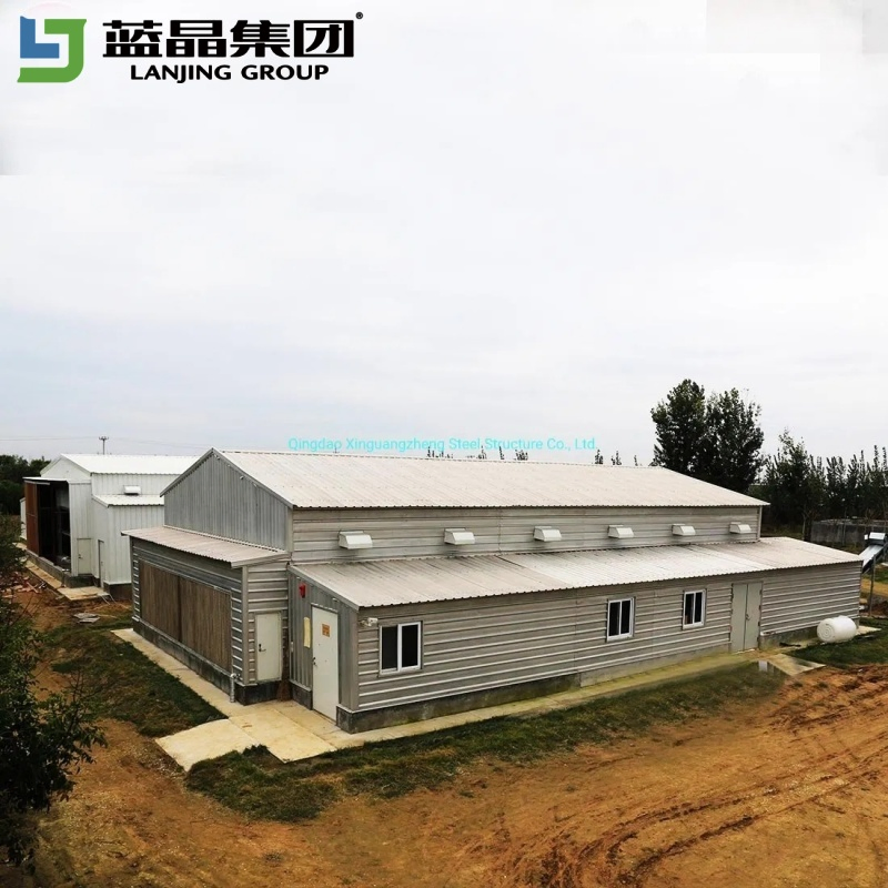 Integrated Design Manufacturers Supply Poultry Shed Farm Building Steel Structure Chicken House