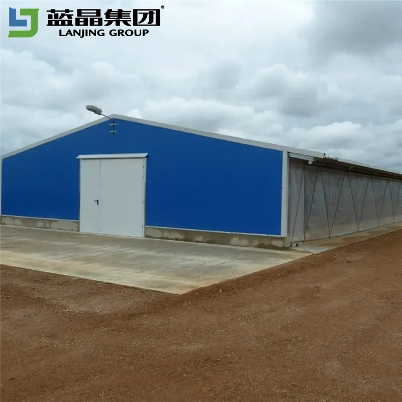 Integrated Design Manufacturers Supply Poultry Shed Farm Building Steel Structure Chicken House