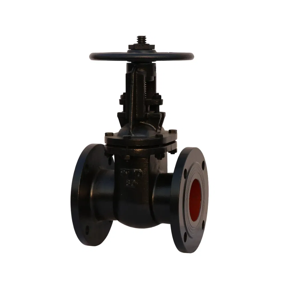 GOST Standard Cast Ductile Double Flanged GOST Parallel Double Discs Gate Valve