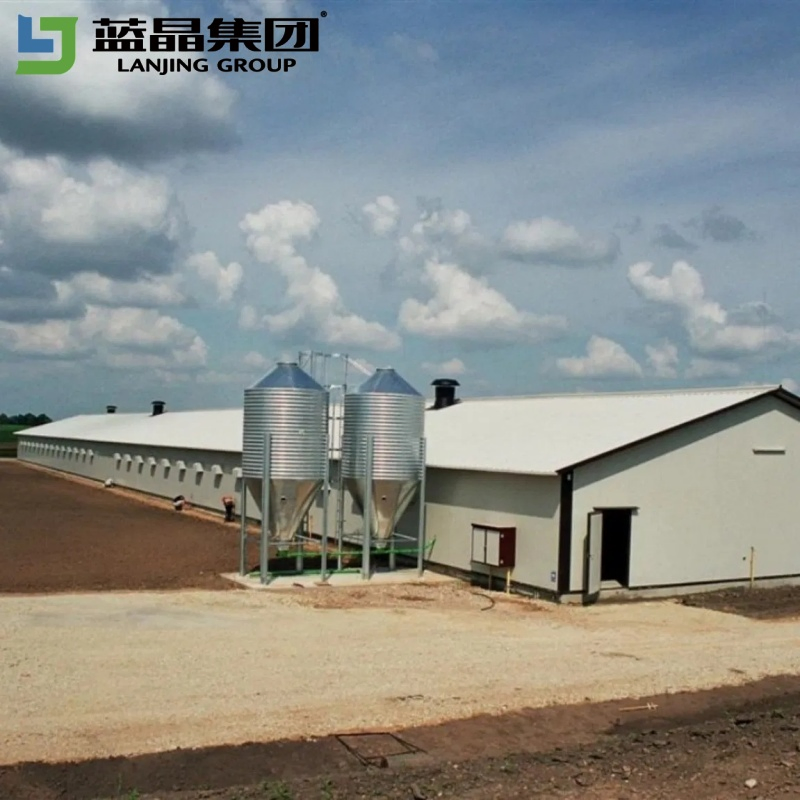 Integrated Design Manufacturers Supply Poultry Shed Farm Building Steel Structure Chicken House
