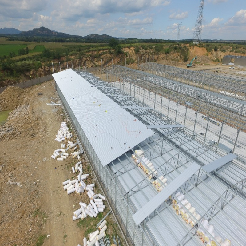 Galvanized Steel Poultry Housing System Integrated with Feeding Equipment and Farm Layout Design