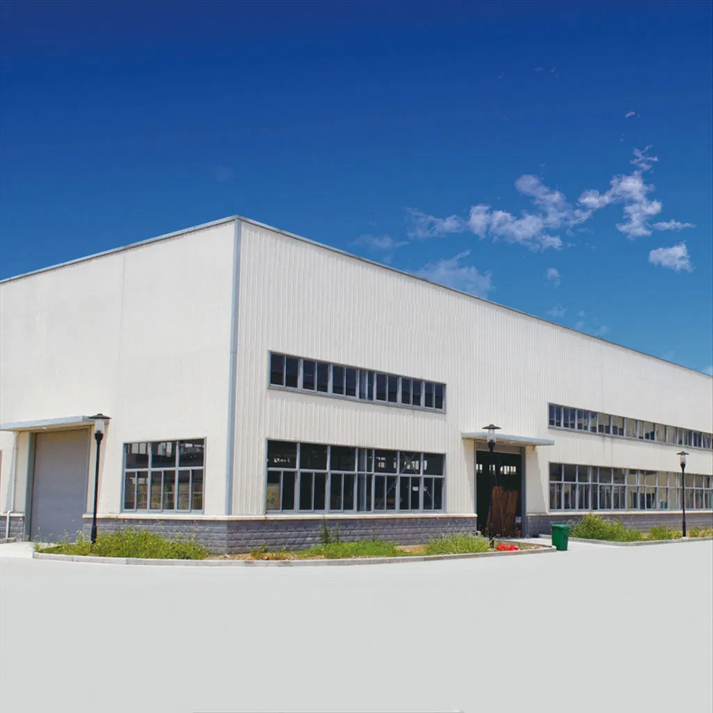 Customizable Steel Structure Housing Units with Quick Assembly Features