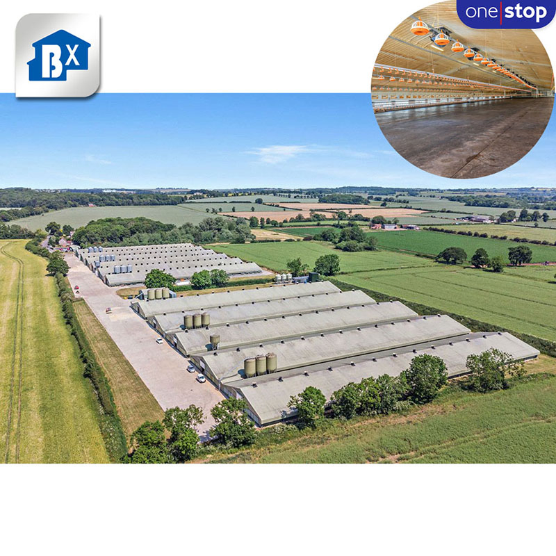 Prefab Steel Thermal Insulation Structure Bungalow Modular Homes Office Container Prefabricated Building