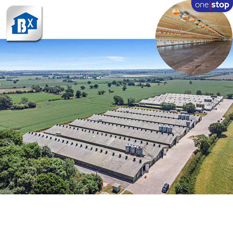 Prefab Steel Thermal Insulation Structure Bungalow Modular Homes Office Container Prefabricated Building