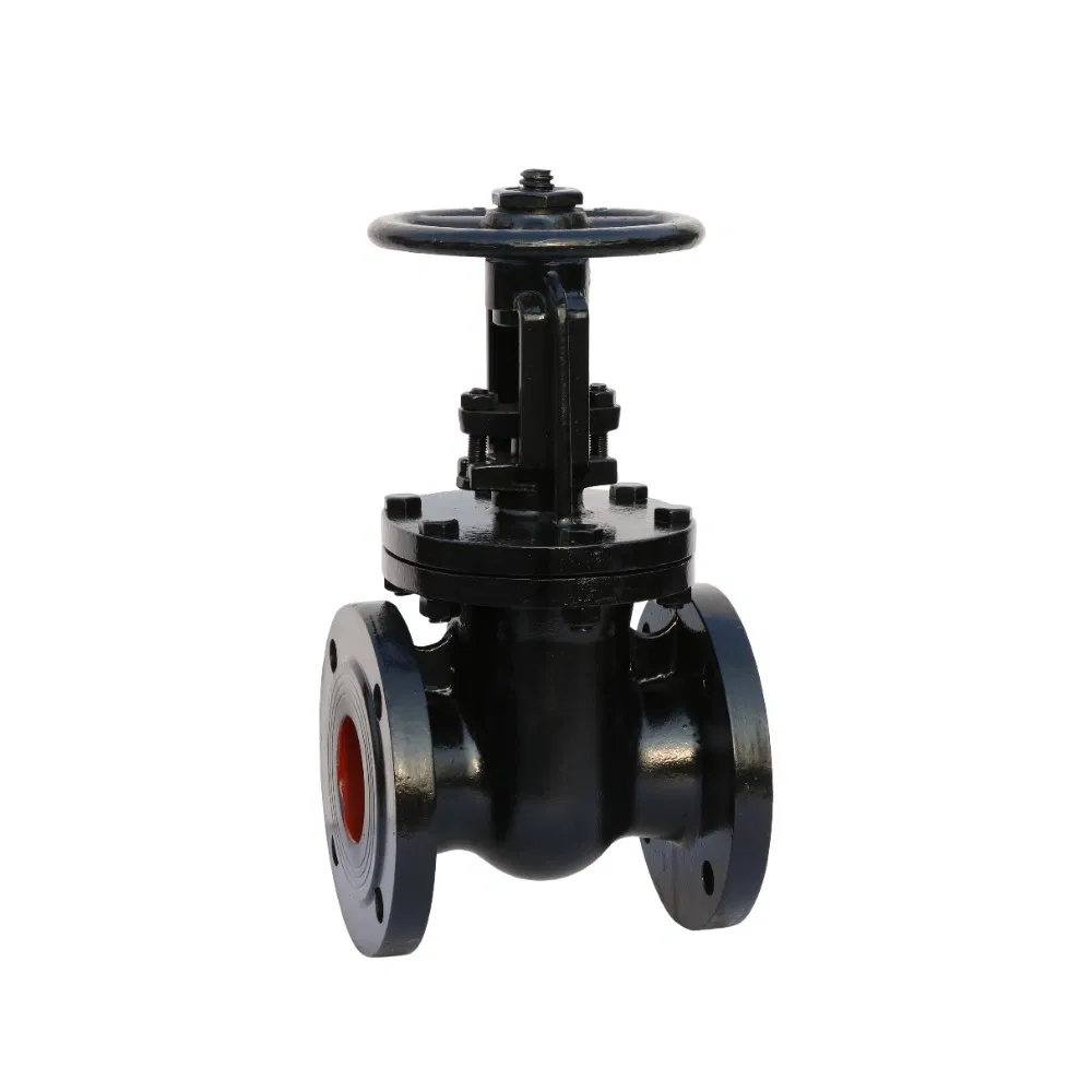 GOST Standard Cast Ductile Double Flanged GOST Parallel Double Discs Gate Valve