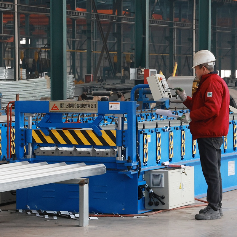 Galvanized Steel Poultry Housing System Integrated with Feeding Equipment and Farm Layout Design