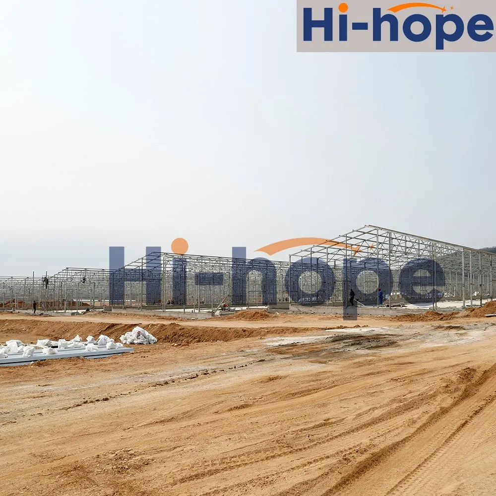 High-Strength Modular Steel Structure Building for Integrated Broiler Farming System