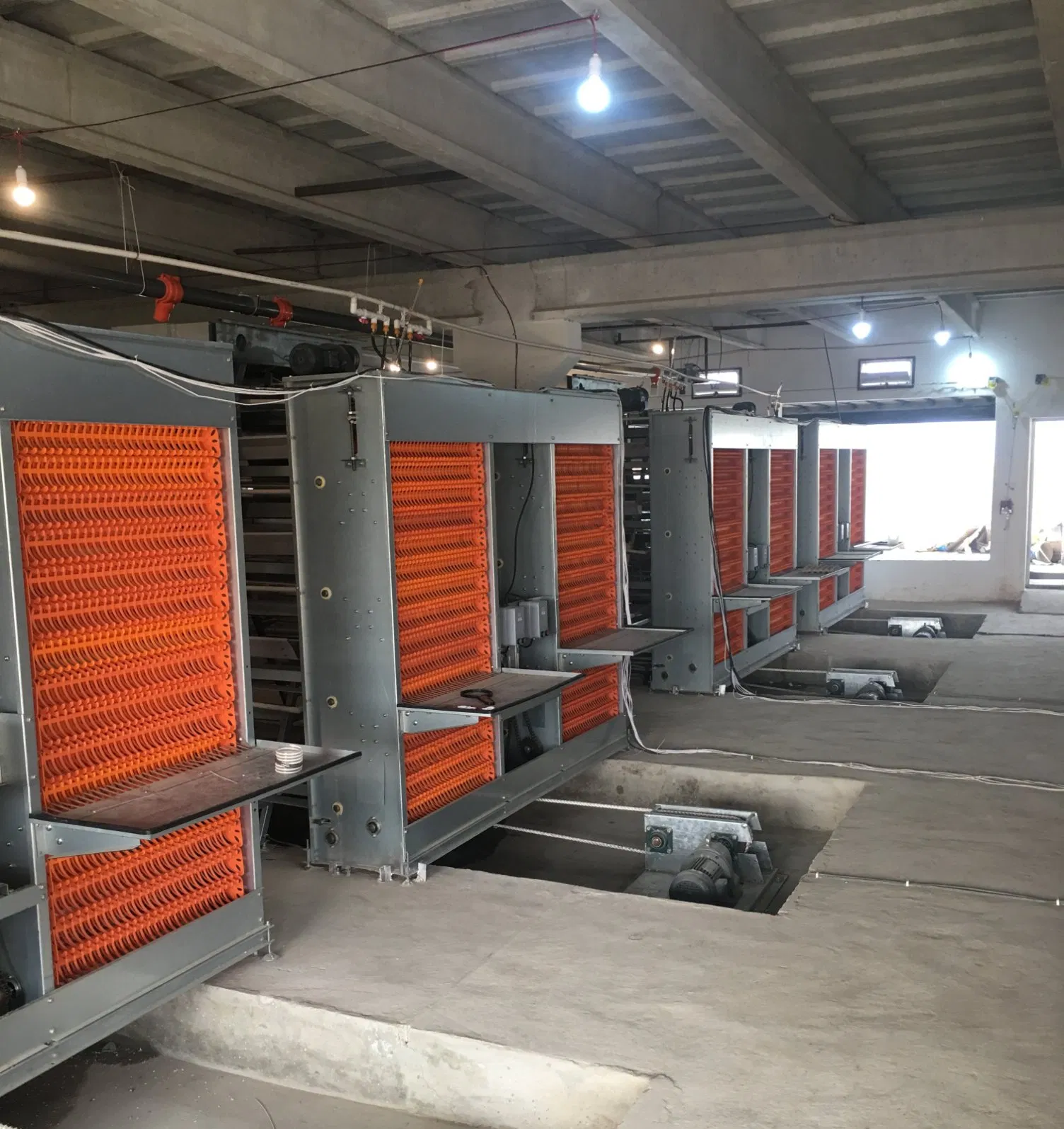 Layer Cage System with Automatic Feeding Machine System