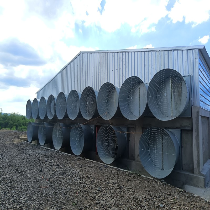 Modular Poultry Housing System with Lightweight Steel Frame and Thermal Insulation Panels