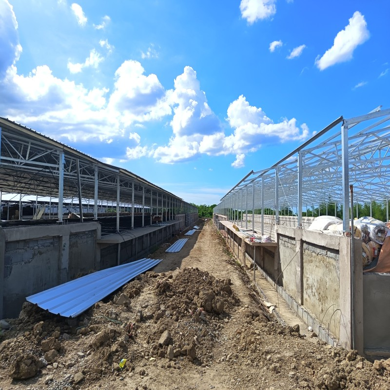 Modular Poultry Housing System with Lightweight Steel Frame and Thermal Insulation Panels