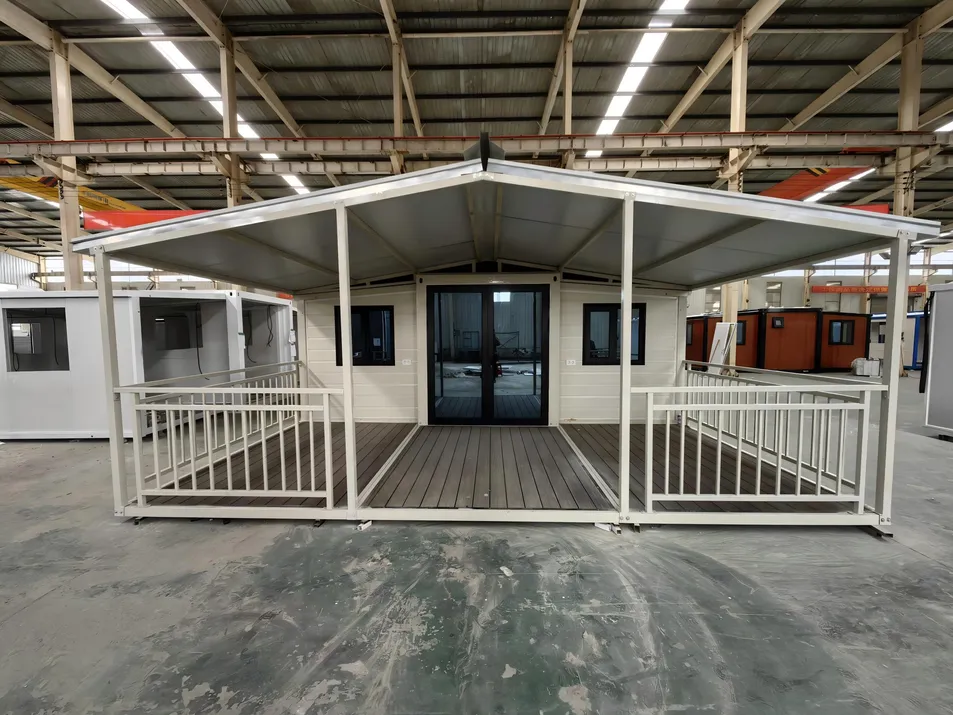 Pitched Roof and Terrace