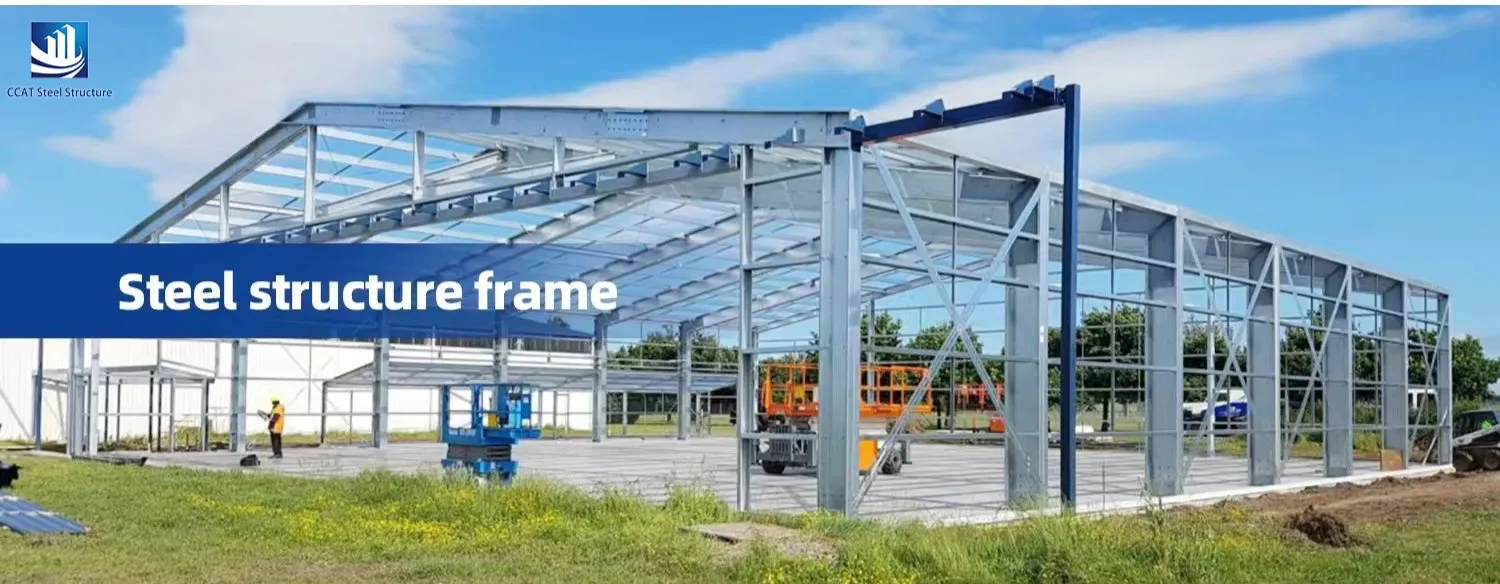 Steel Structure Luxury House