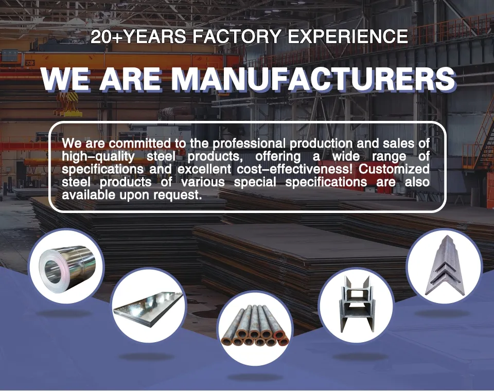 Steel Structure House