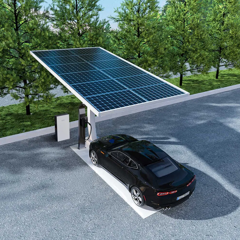 Whole House Solar Energy System 5kw-10kw Lithium Ion Storage Battery with Solar Carport and EV Charger