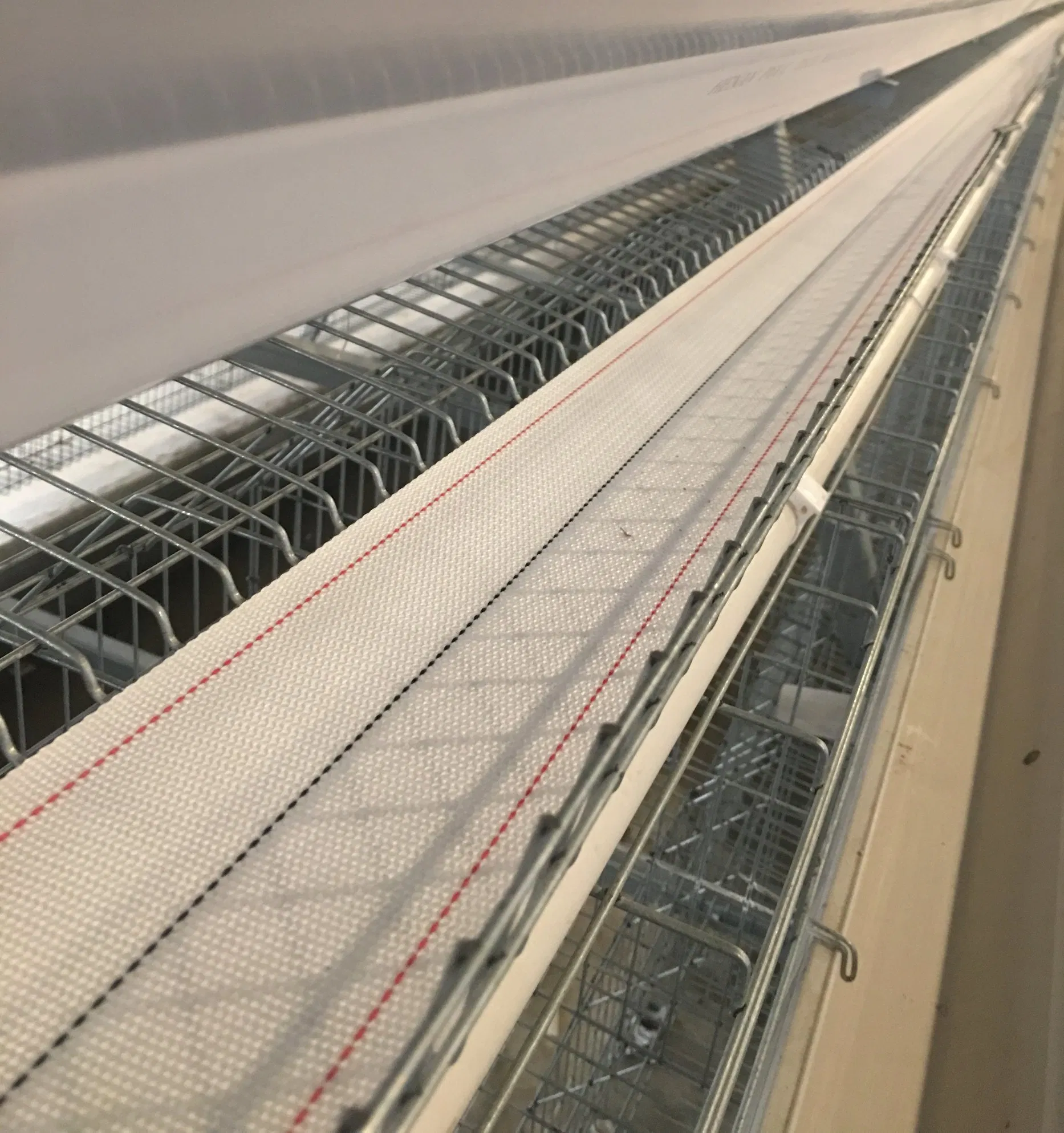 Layer Cage System with Automatic Feeding Machine System