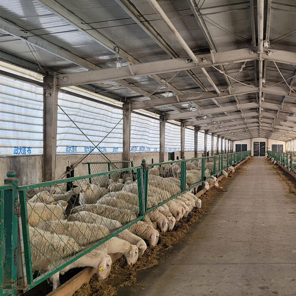 Custom Steel Warehouse Buildings with Integrated Livestock Shelter Solutions