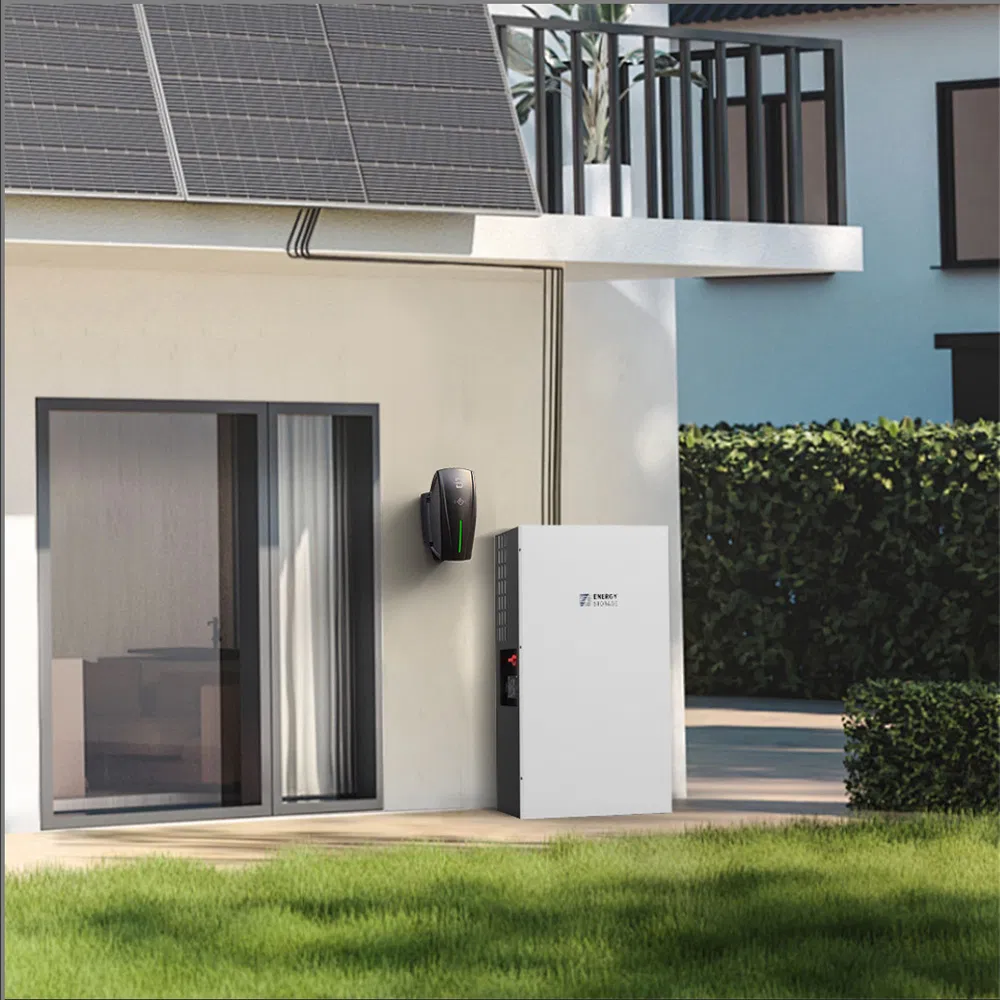 Whole House Solar Energy System 5kw-10kw Lithium Ion Storage Battery with Solar Carport and EV Charger