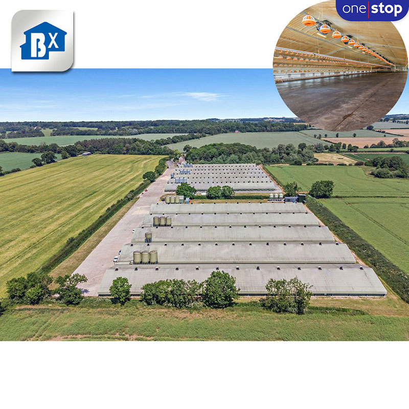 Prefab Steel Thermal Insulation Structure Bungalow Modular Homes Office Container Prefabricated Building