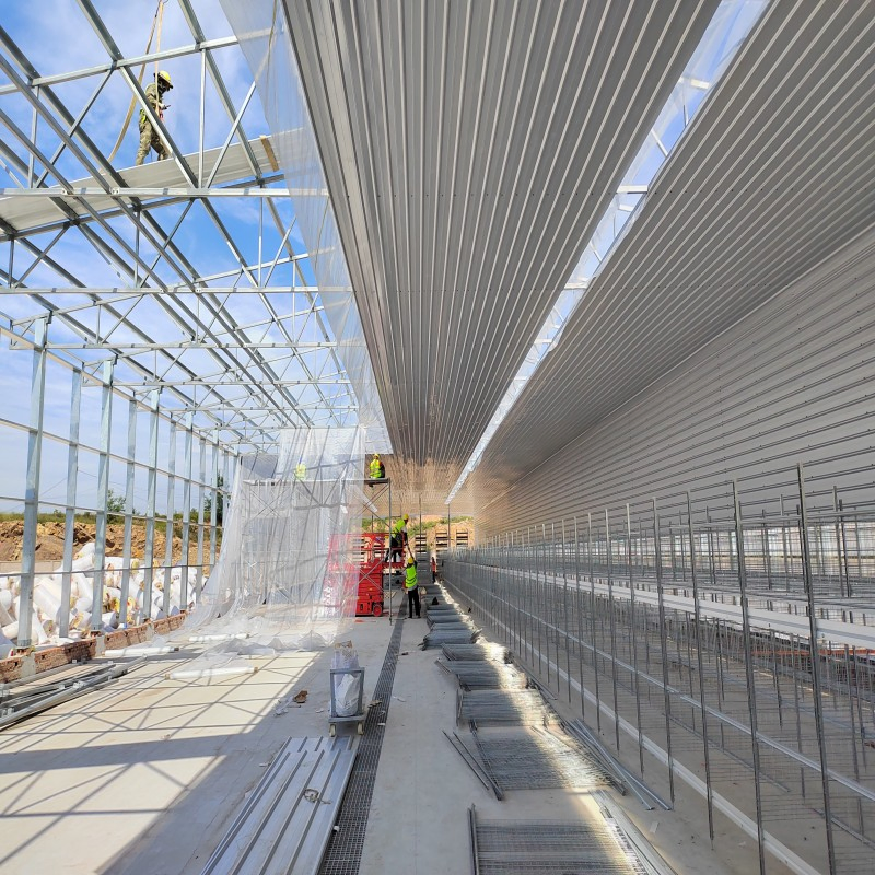 High-Strength Modular Steel Structure Building for Integrated Broiler Farming System