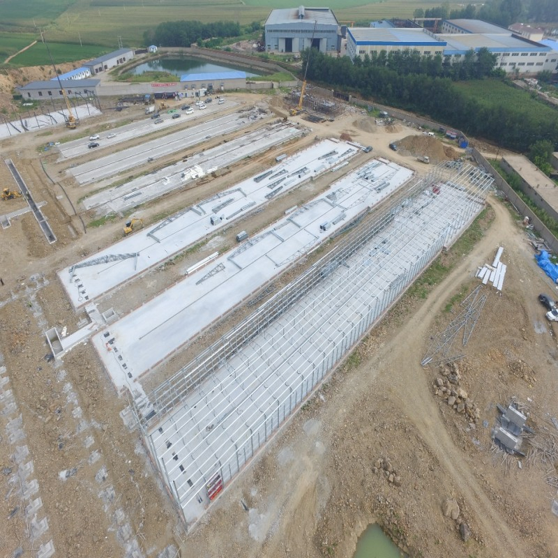 Galvanized Steel Poultry Housing System Integrated with Feeding Equipment and Farm Layout Design