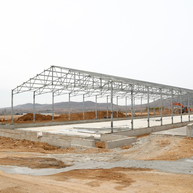 High-Strength Modular Steel Structure Building for Integrated Broiler Farming System